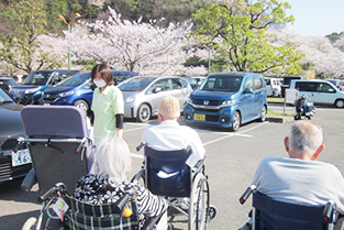 お花見